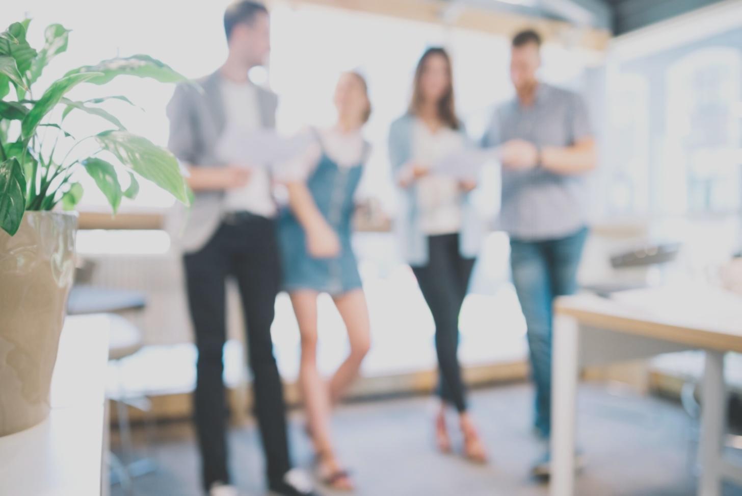 Team di vertexneobureau durante una sessione di formazione sulla finanza sostenibile